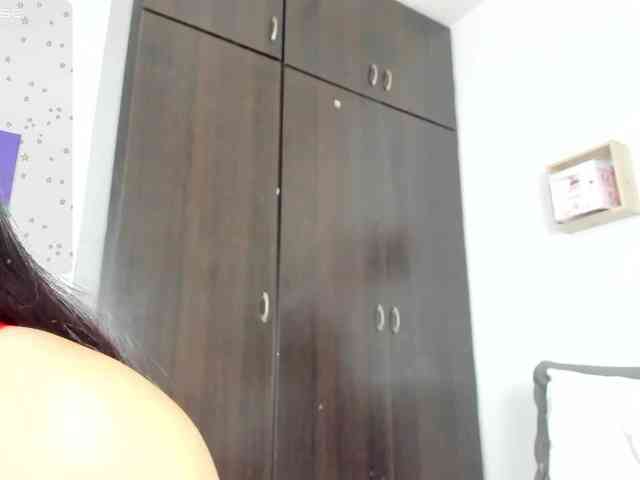 Lisvandre webcam