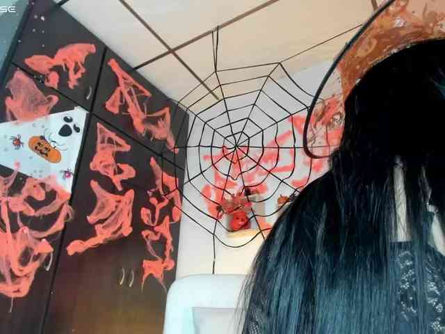 Lisvandre webcam