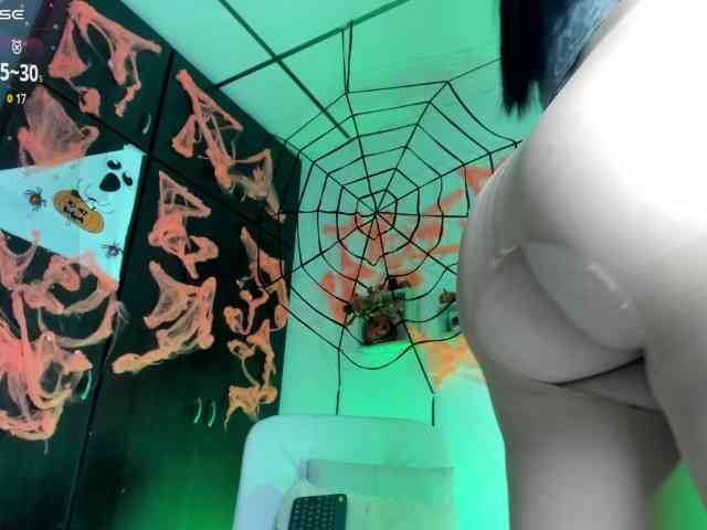 Lisvandre webcam