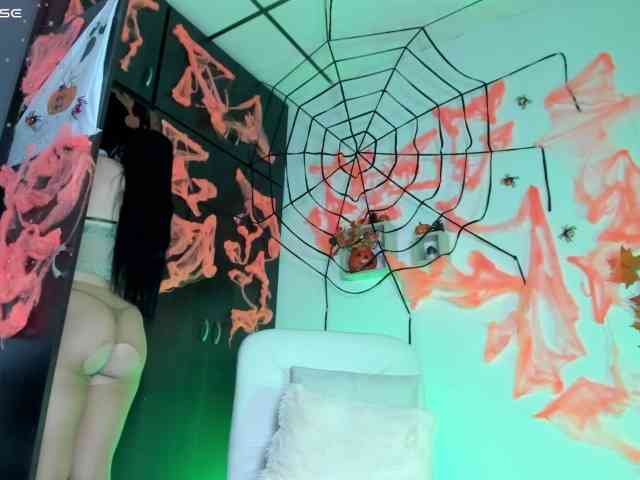 Lisvandre webcam