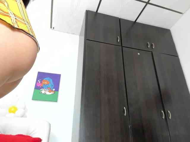 Lisvandre webcam
