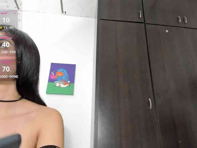 Lisvandre webcam