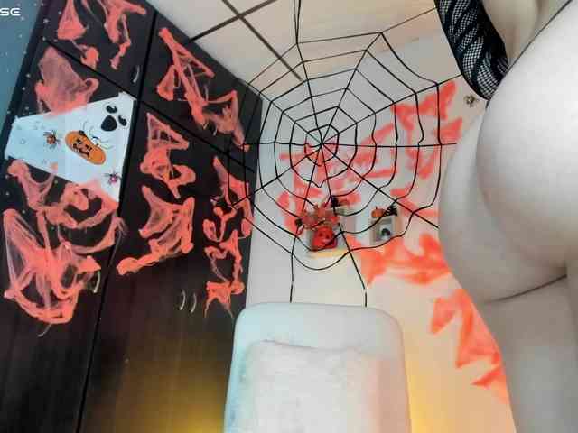 Lisvandre webcam