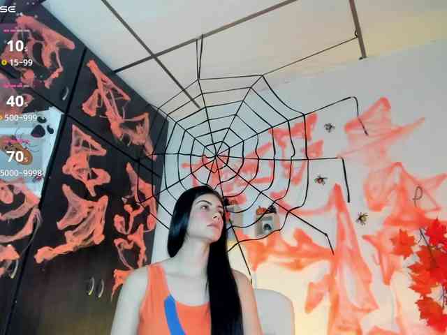 Lisvandre webcam