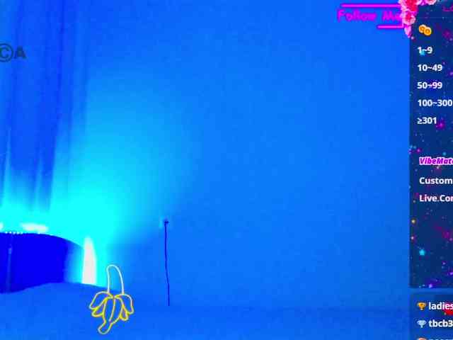 Emelicristal webcam