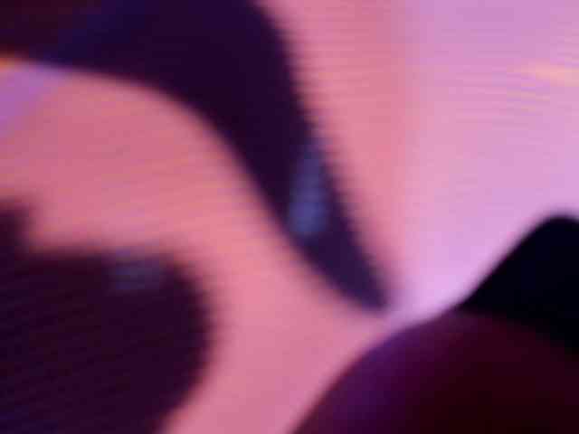 axellcollins Live Webcam on BongaCams
