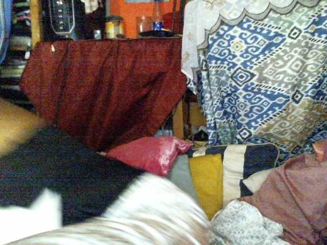 butterfly007's BongaCams show and profile