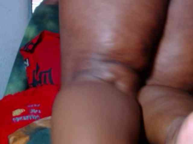 katysquirtwild webcam