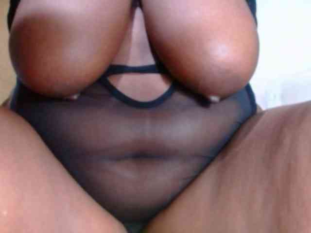 katysquirtwild webcam