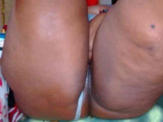 katysquirtwild webcam