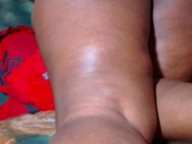 katysquirtwild webcam