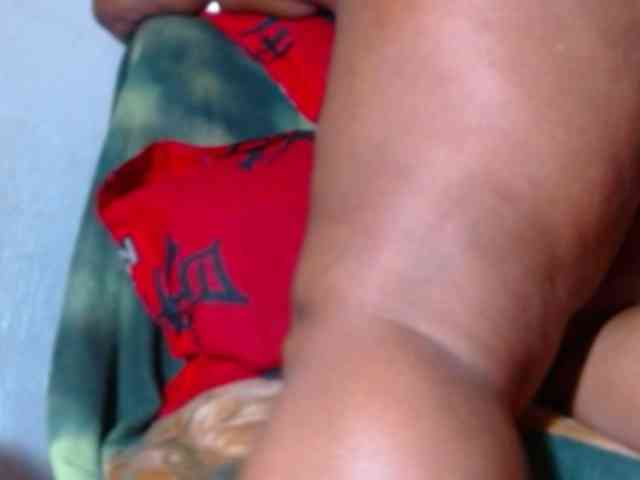 katysquirtwild webcam