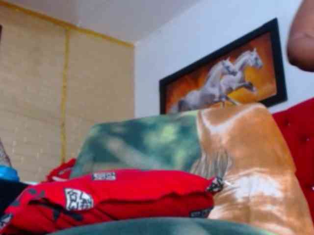 katysquirtwild webcam