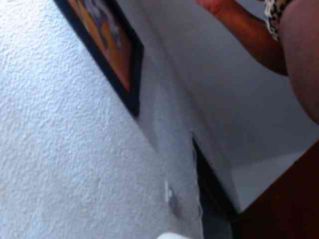 katysquirtwild webcam