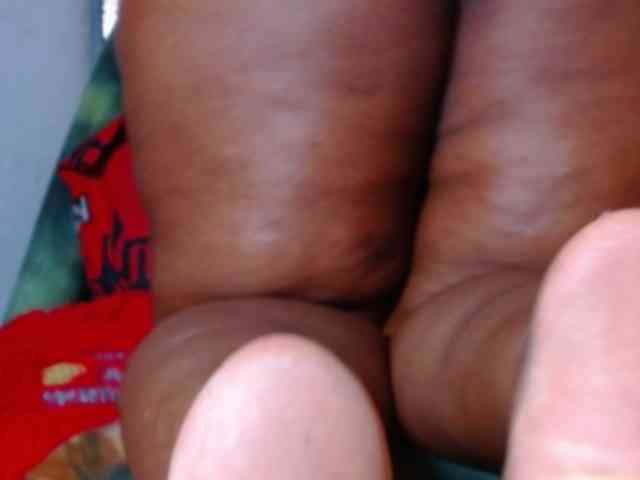 katysquirtwild webcam