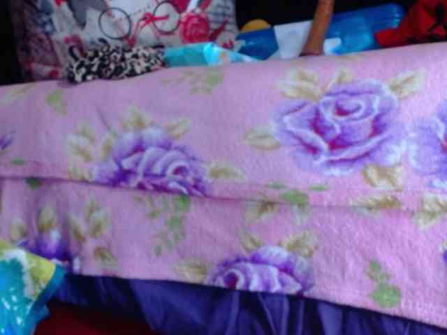 squirtwildLIA webcam