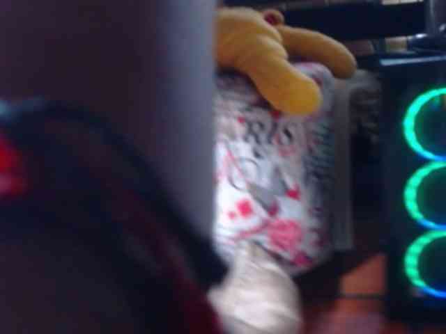 kimfierykitty kimfierykitty