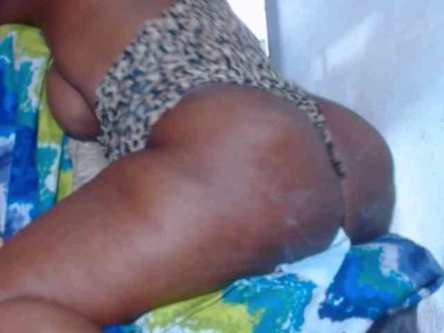 katysquirtwild webcam