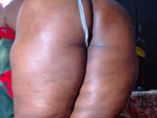 katysquirtwild webcam