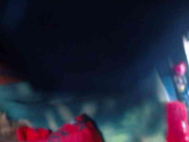 katysquirtwild webcam