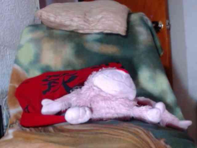 kimfierykitty Live Webcam on BongaCams