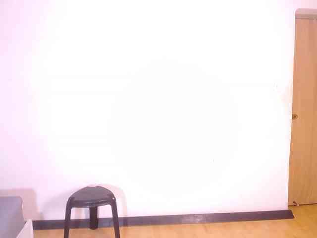 tiny-veronica tiny-veronica