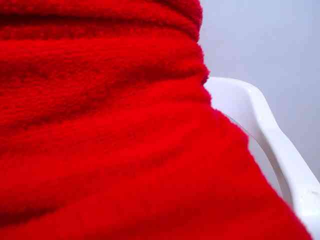 tiny-veronica webcam