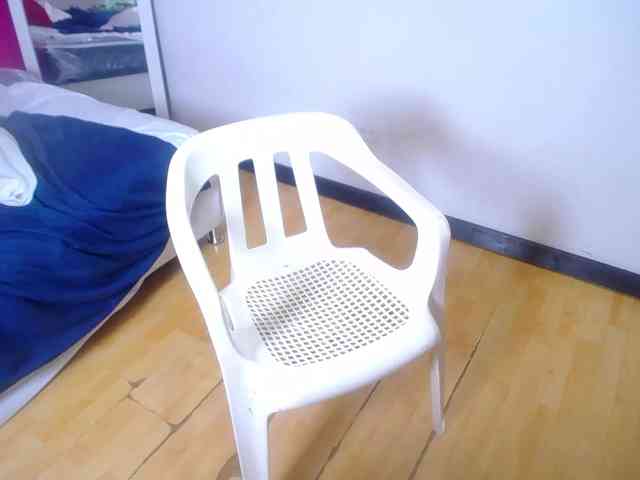 tiny-veronica tiny-veronica