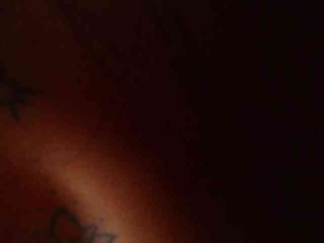 tiny-veronica tiny-veronica