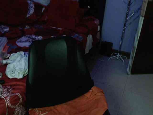 ElizabethTaylor8 webcam