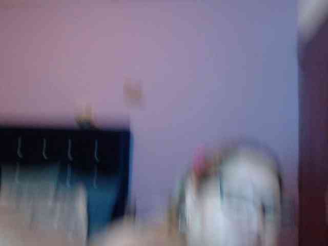 ElizabethTaylor8 webcam