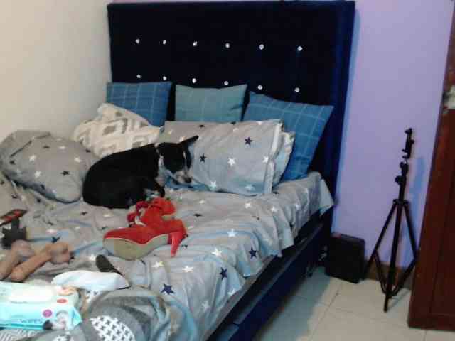 ElizabethTaylor8 webcam