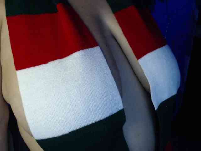 ElizabethTaylor8 webcam