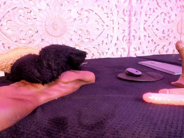 Preview of antonnella-lopez