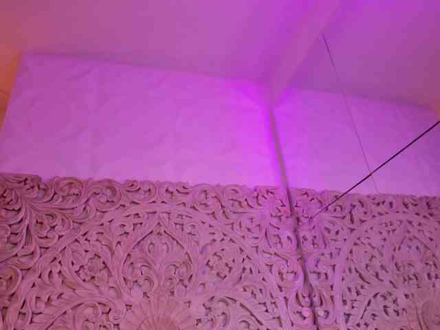 antonnella-lopez webcam