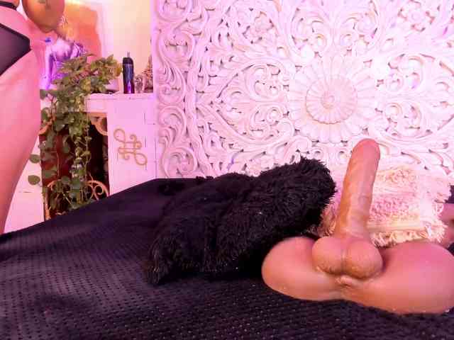 antonnella-lopez webcam