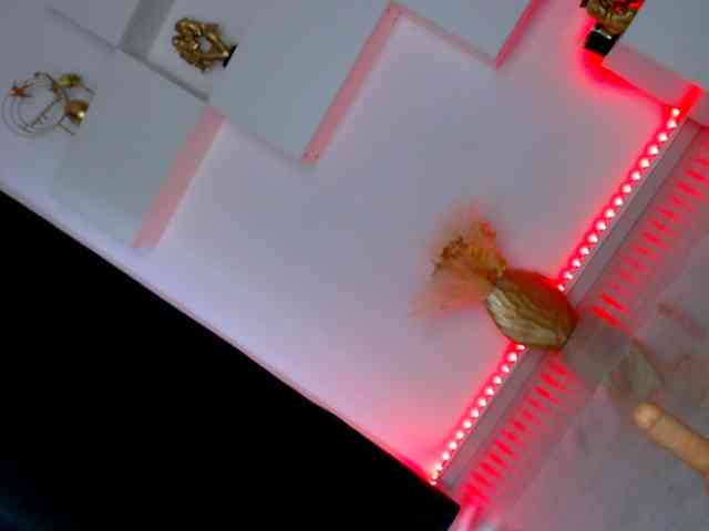 arianatattoos webcam