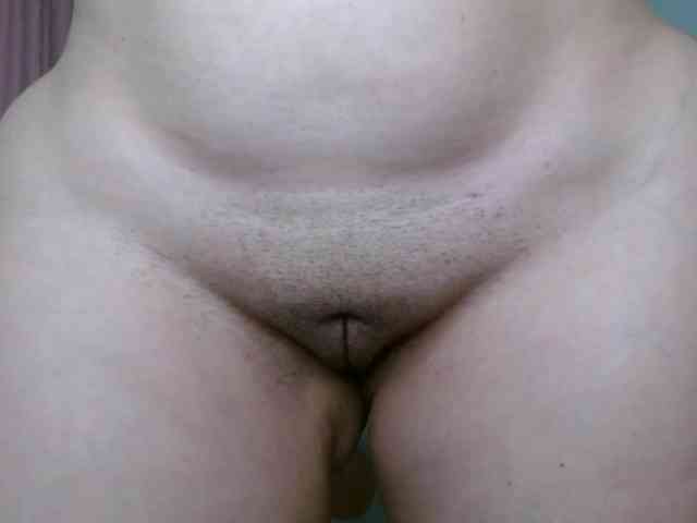 Agata-fox webcam