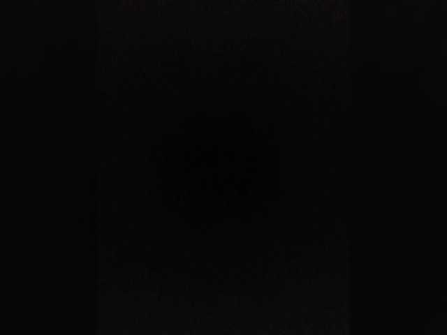 P-a-n-t-h-e-r from BongaCams