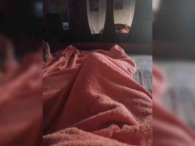 TISE webcam