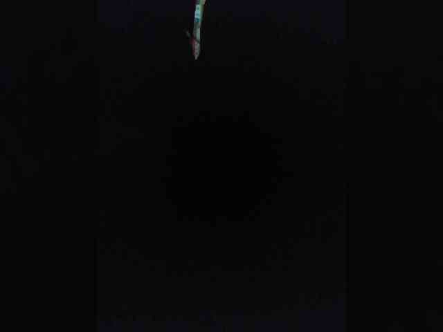 TISE webcam