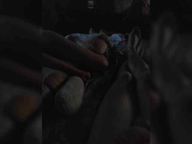 TISE webcam
