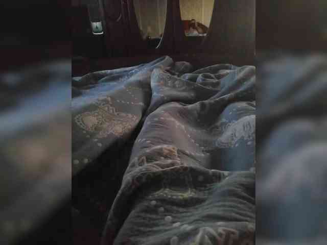 TISE webcam