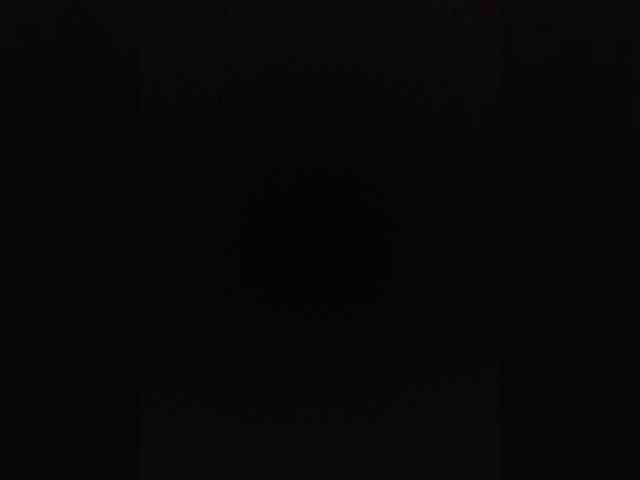 TISE webcam