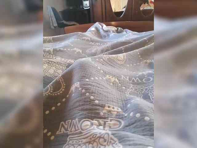 TISE webcam