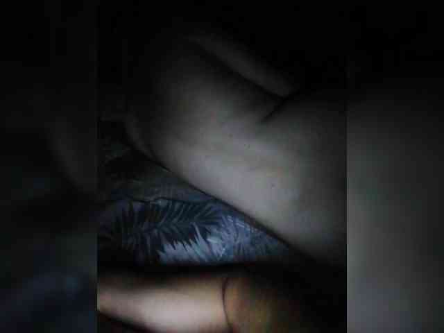 TISE webcam