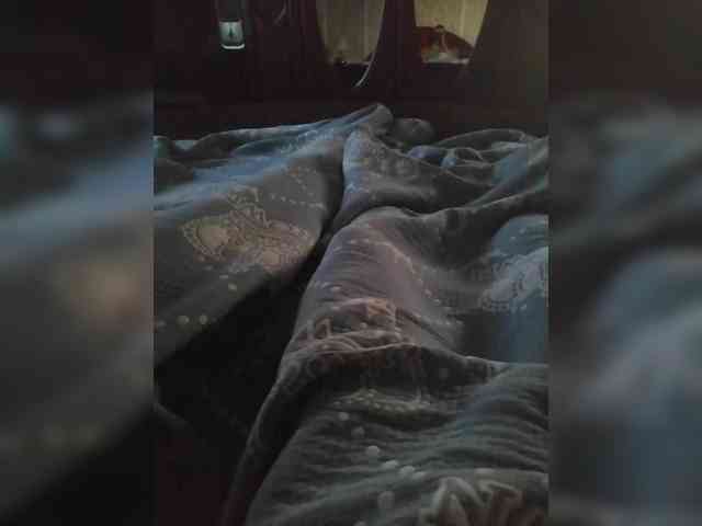 TISE webcam