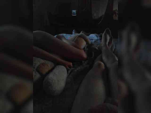 TISE webcam