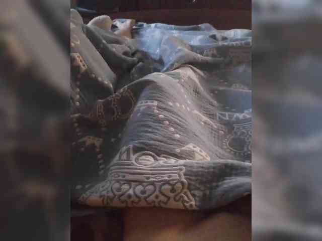 TISE webcam