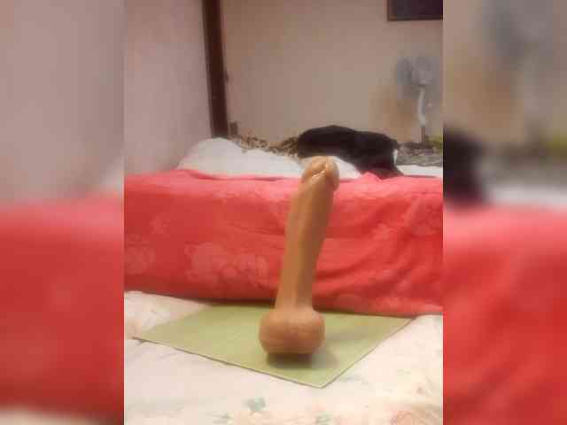 BblE-bi-please BblE-bi-please